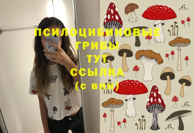 Псилоцибиновые грибы MAGIC MUSHROOMS Вятские Поляны